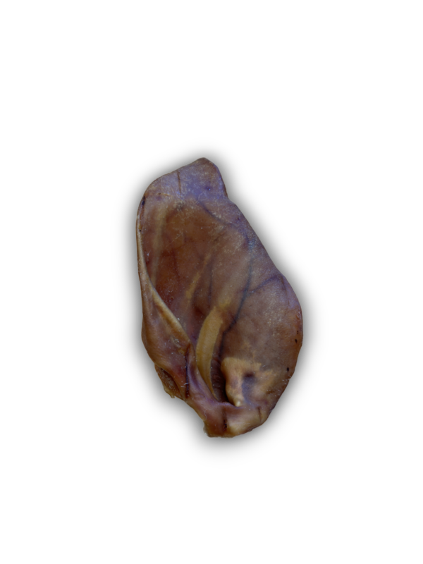 Pigs Ears