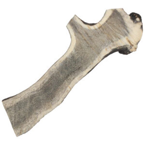 Whole Antlers - various sizes