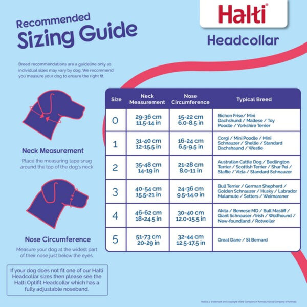 Halti Headcollar - Image 3