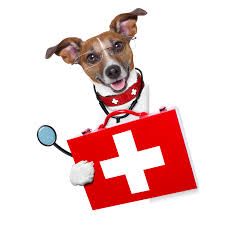 Pet Treatments and Remedies