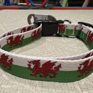 Collar Ddraig Goch / Welsh Dragon Collar 1-2