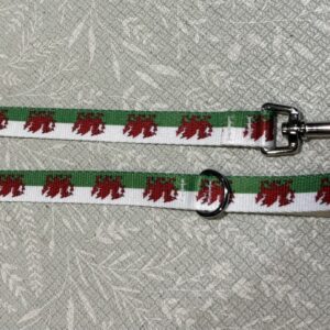 Lead Ddraig Goch / Welsh Dragon Lead