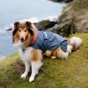 Dog Dryrobe in Grey / Orange