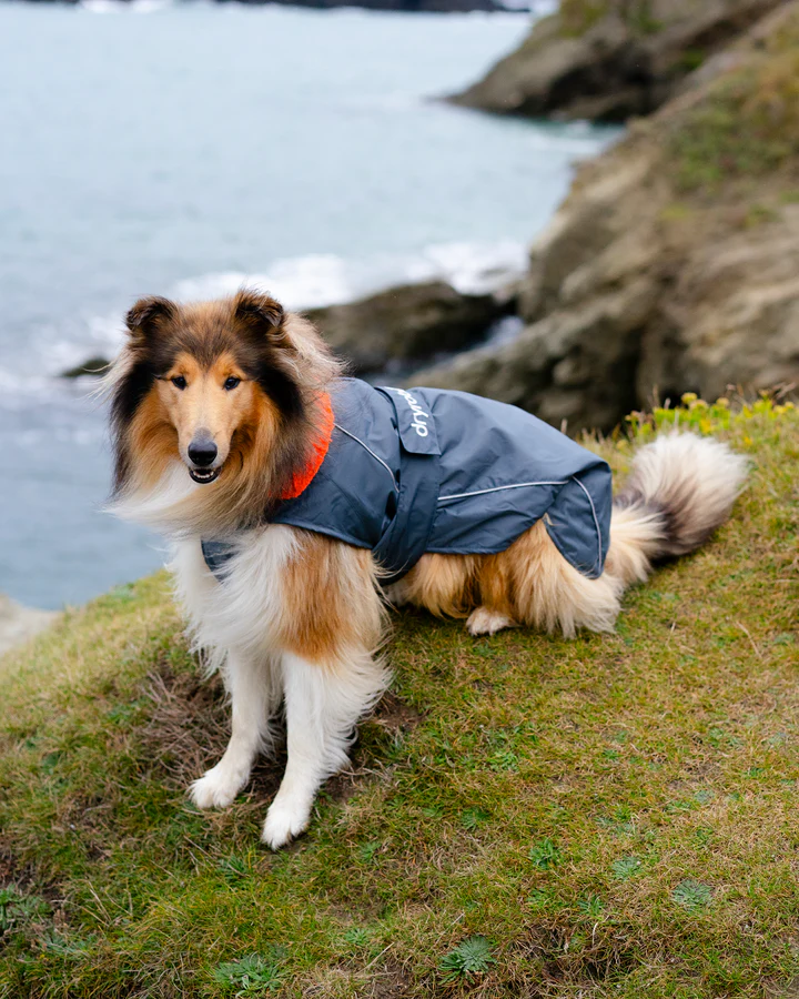 Dog Dryrobe in Grey / Orange