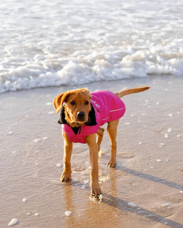 Dog Dryrobe in Pink / Black - Image 5
