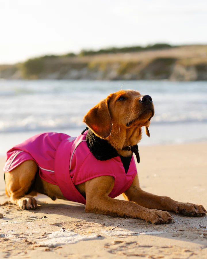 Dog Dryrobe in Pink / Black - Image 6