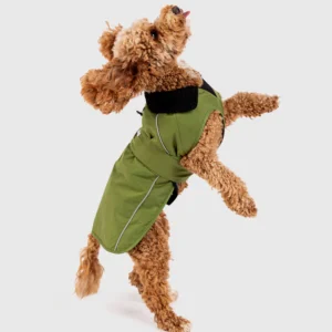 Dog Dryrobe in Forest Green / Black