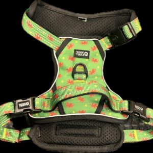 Woof'n'Roll Harness - Welsh Dragon Edition