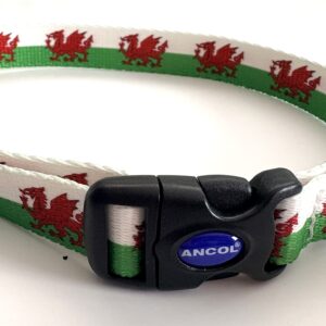 Collar Ddraig Goch / Welsh Dragon Collar