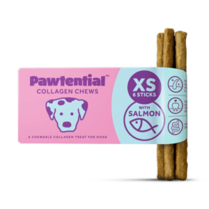 Pawtential - Salmon - various sizes